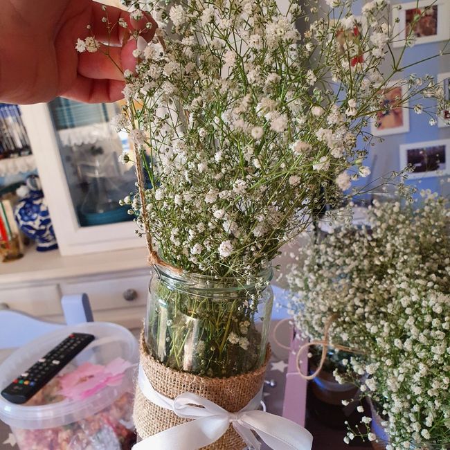 Paniculata 1