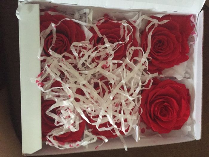 Mis conos y petalos y rosas preservados  yuhuuuuuu!!! - 6