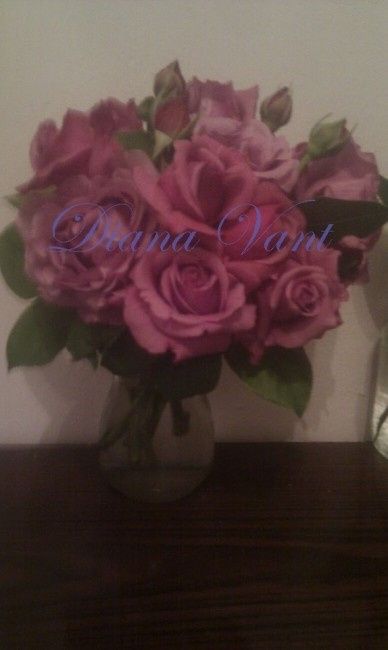 Rosas
