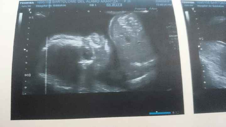 Futuras mamas julio 2016 - 1