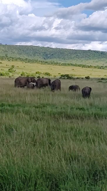 Mi ilusión cumplida áfrica 4