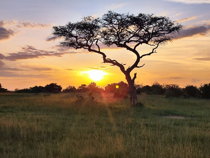 Mi ilusión cumplida áfrica 5