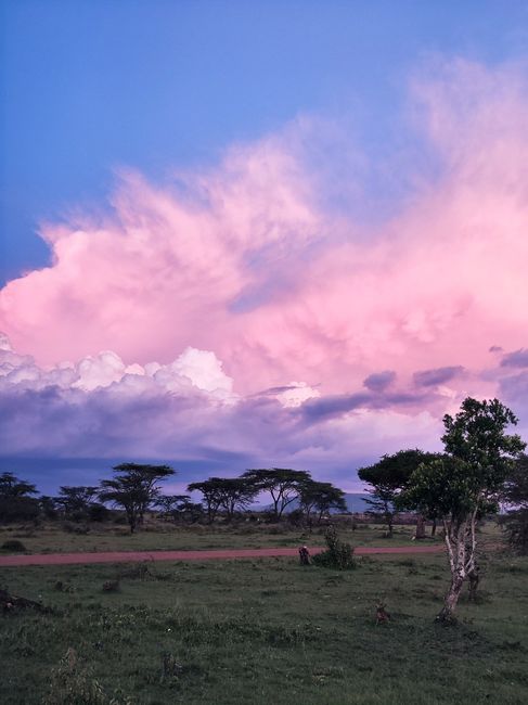 Mi ilusión cumplida áfrica 6