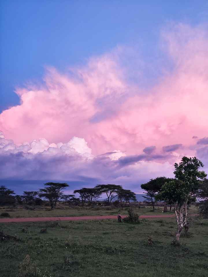 Mi ilusión cumplida áfrica - 6