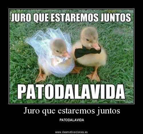 pa to la vida?