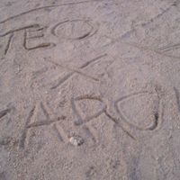 teo x carol