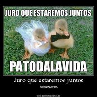pa to la vida?
