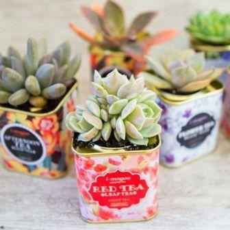Decoración latas