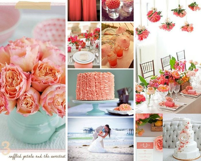 5. Boda salmon