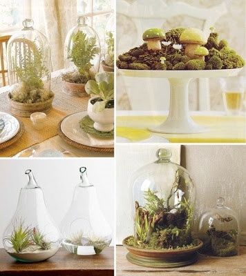 6. Decorar mesa con terrarios