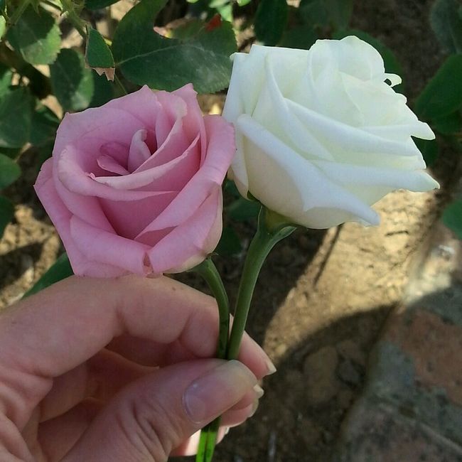 Ramo de novia - 1