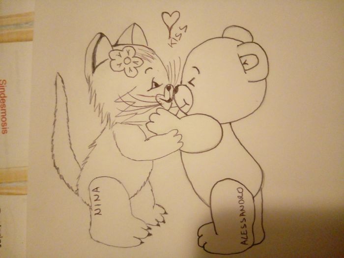 gato x osito