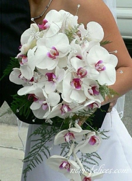 ramo orquideas