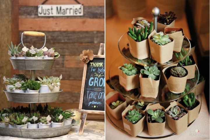 Detalles invitados: plantas - 1