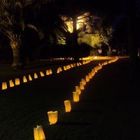 Luminarias