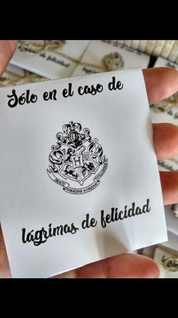 Lágrimas de felicidad Harry Potter - 3
