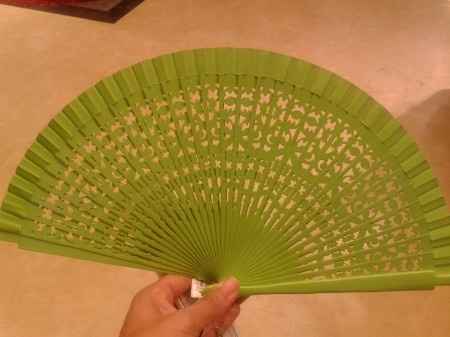 Mi abanico 