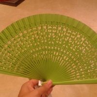 Mi abanico 