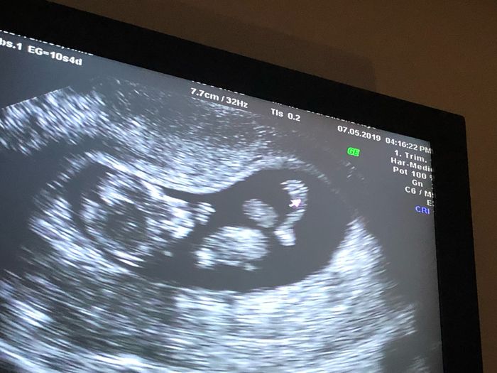 mamis noviembre 2019 oficial - 1