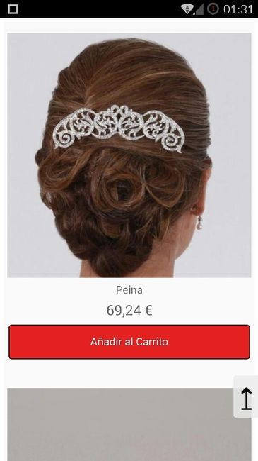 Accesorio pelo - 3