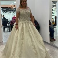 Vestido de novia - 1