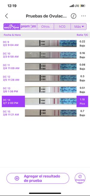 Buscadoras febrero 👑🥐👑🥐👑🥐 - 1
