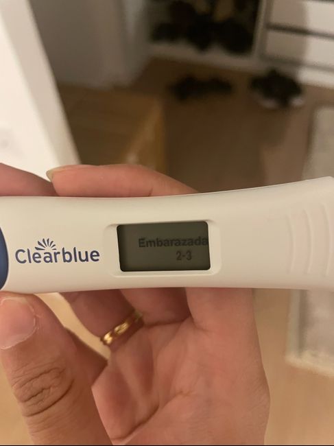 💐 Buscadoras junio 2025 🍀🫂🙌 - 1