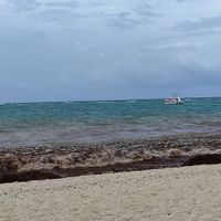 Punta cana junio 2021 - 1