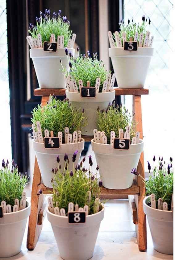 Seating Plan Plantas (para los que mas les guste la naturaleza)