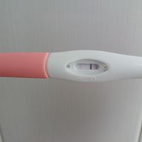 Buscadoras Diciembre 2019 - 1