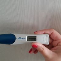 Buscadoras Diciembre 2019 - 1