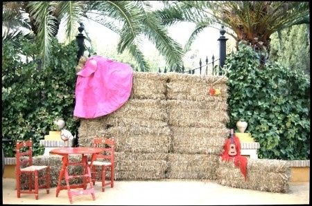 Fondo y accesorios para el photocall.  - 1