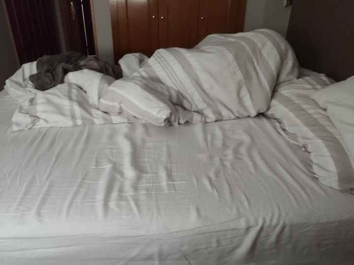 ¿Quién roba más manta? - 1