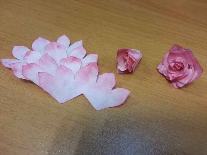 Fases de cada flor