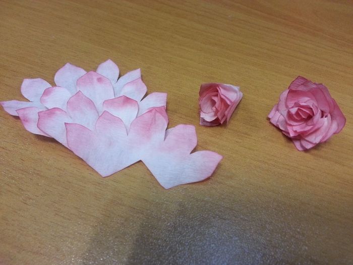 Fases de cada flor