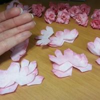Mis florecillas