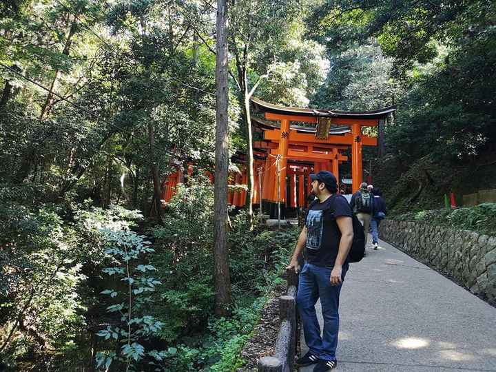 Mi viaje de novios: Japón y Bali - 4