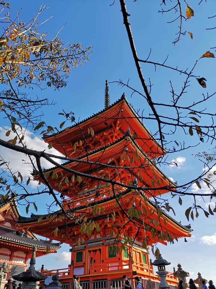 Mi viaje de novios: Japón y Bali - 11