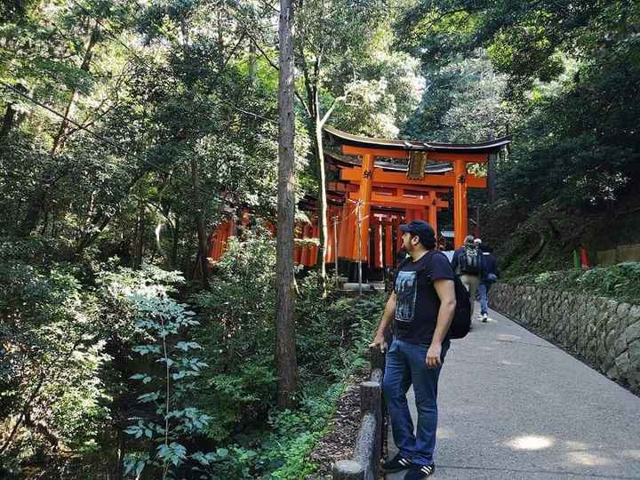 Viaje de novios a Japón y Bali - 33