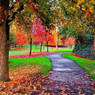 Novia De Otoño