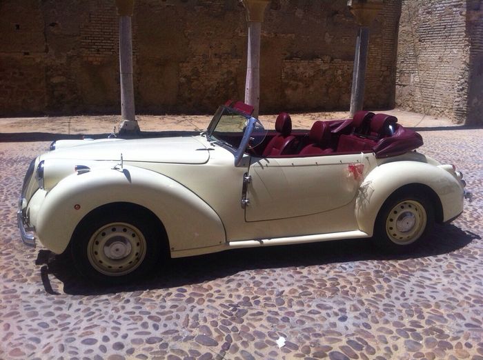 Color marsala  - 3