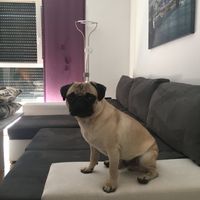  ¿quién no? - 1