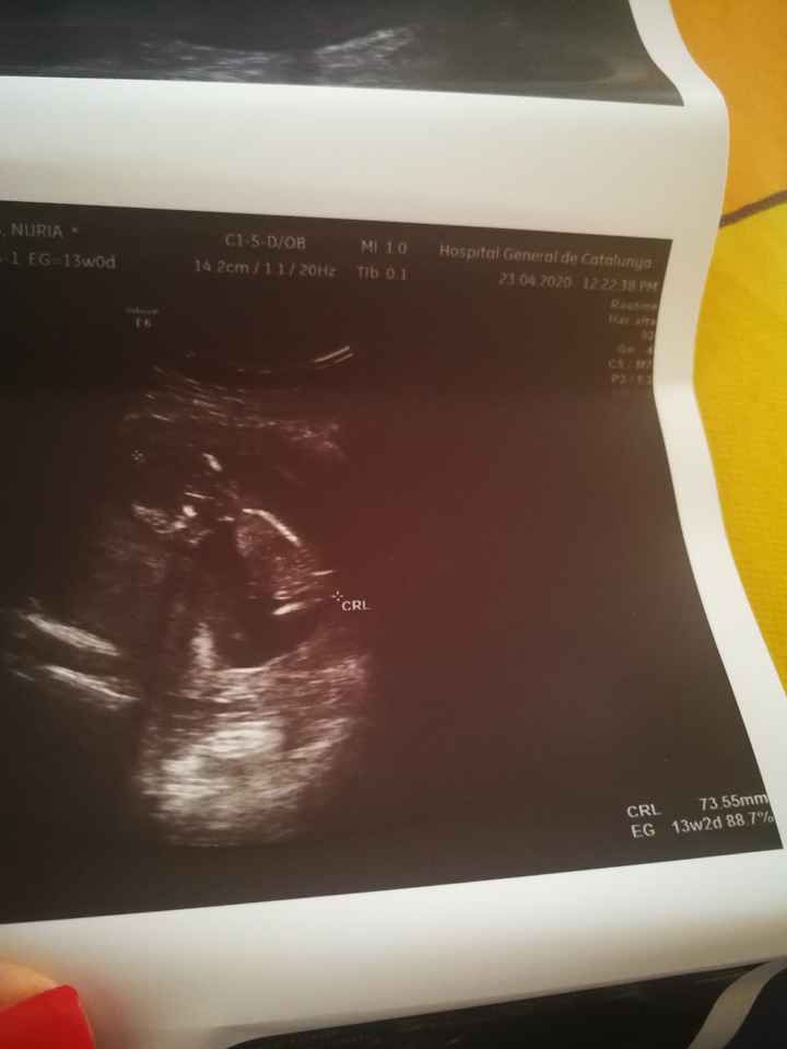 Futuras mamas octubre 2020 - 2