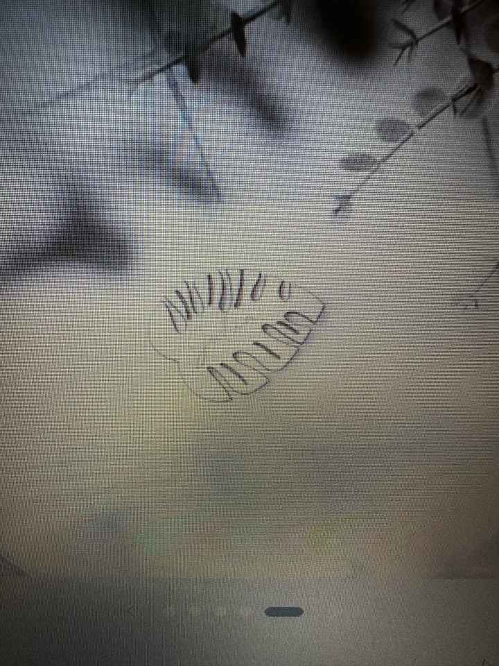 Marca sitios? si o no - 1