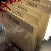 Invitado espia