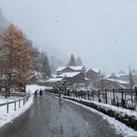 ¿Te pidieron matrimonio en Navidad? - 1