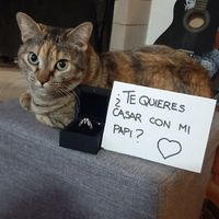¡Comparte tu momento de la pedida mediante fotos! - 1