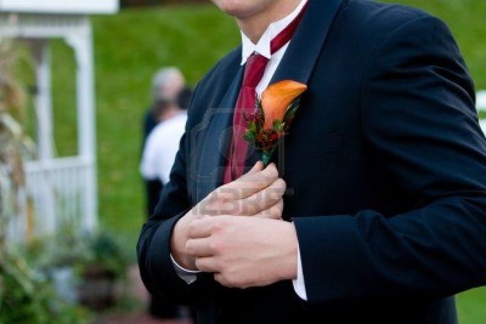 novio 3