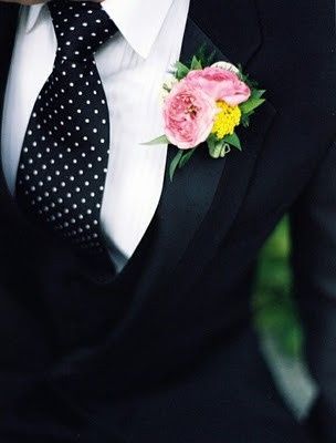 novio 3