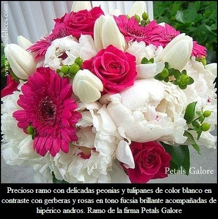 Ramo 1